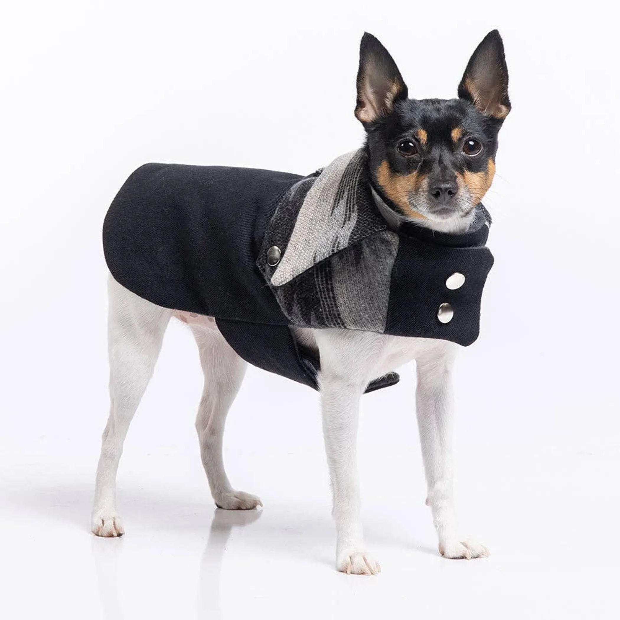 DCNY Ranch Dog Coat — Small-Dog Sizes XXS–M - Image 5