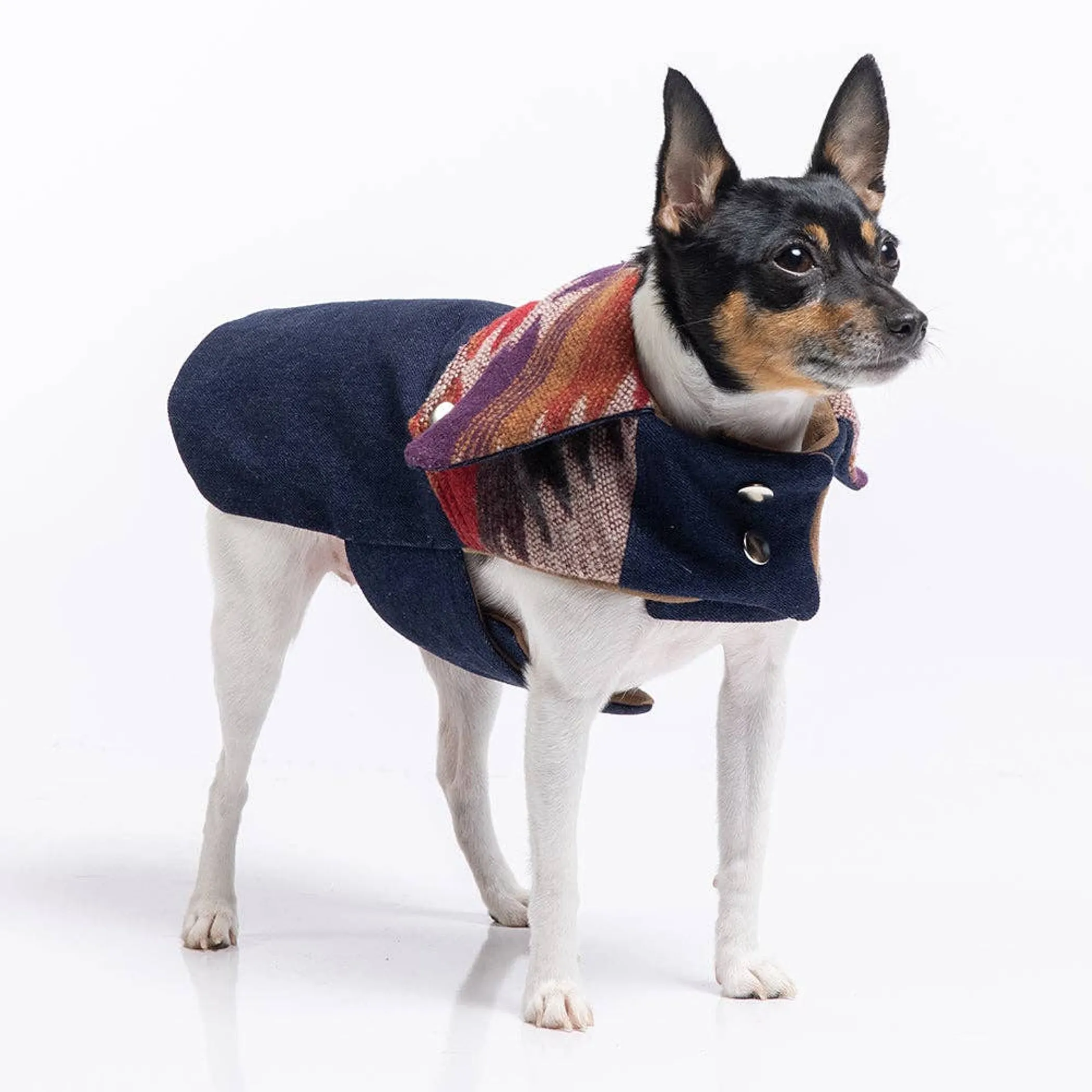 DCNY Ranch Dog Coat — Small-Dog Sizes XXS–M
