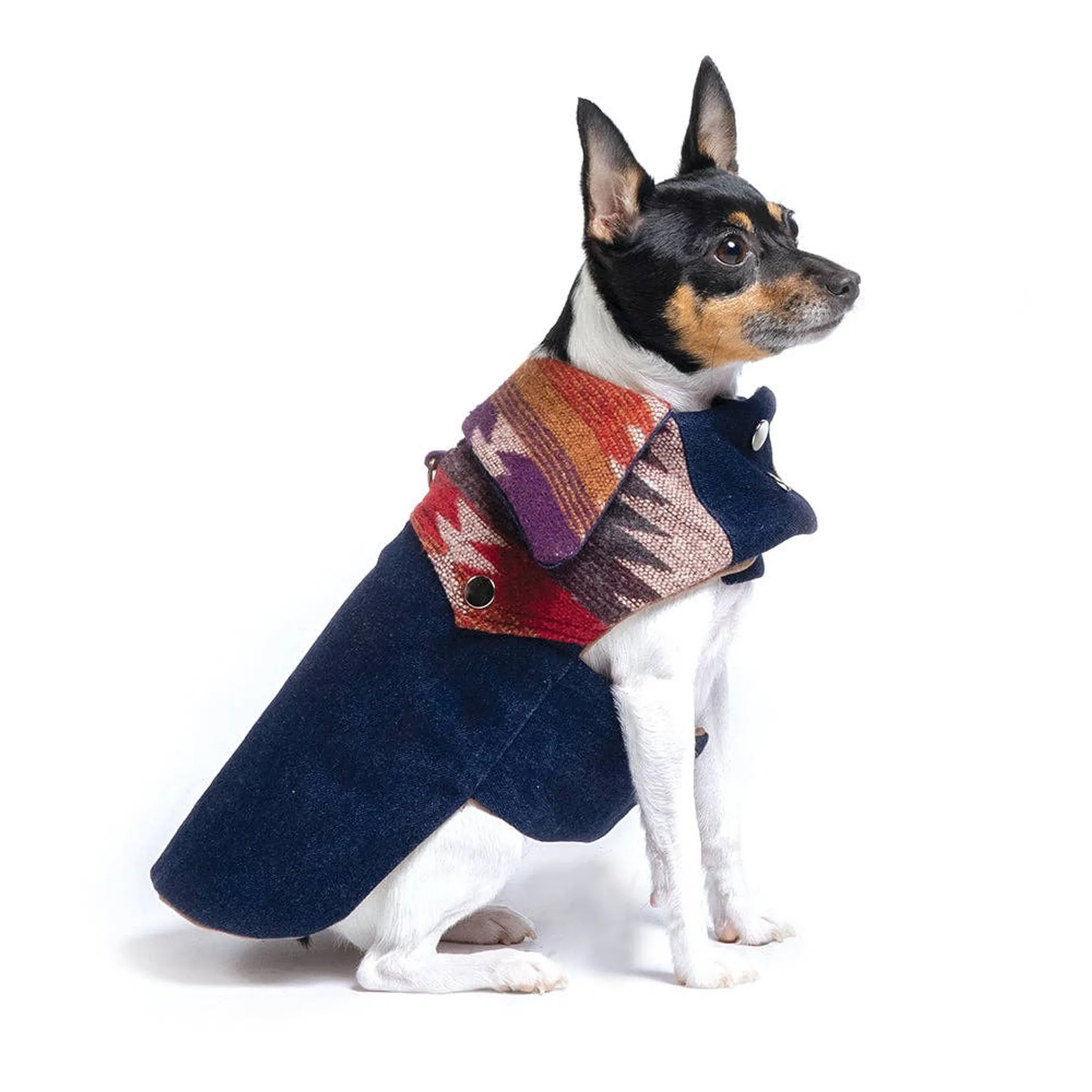 DCNY Ranch Dog Coat — Small-Dog Sizes XXS–M - Image 3