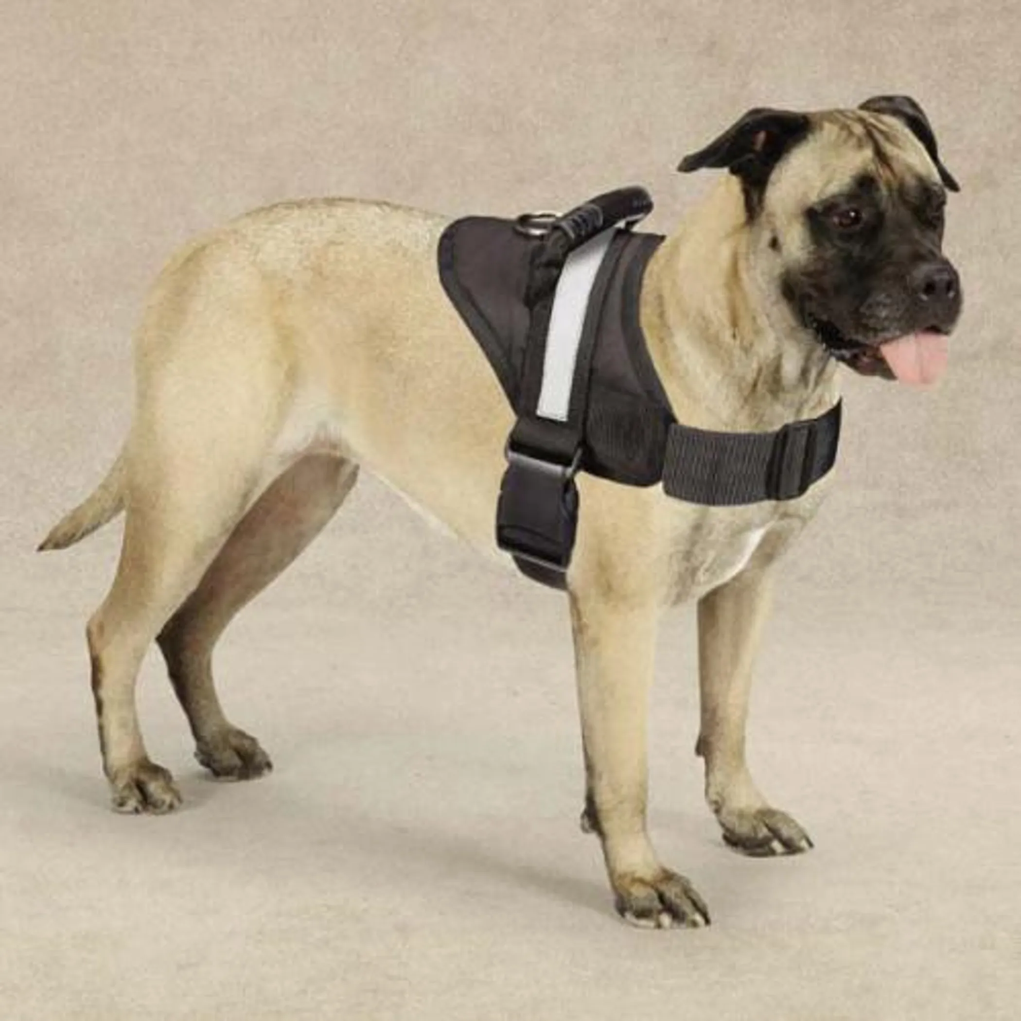 Guardian Gear Excursion Dog Harness — Handle and Reflective