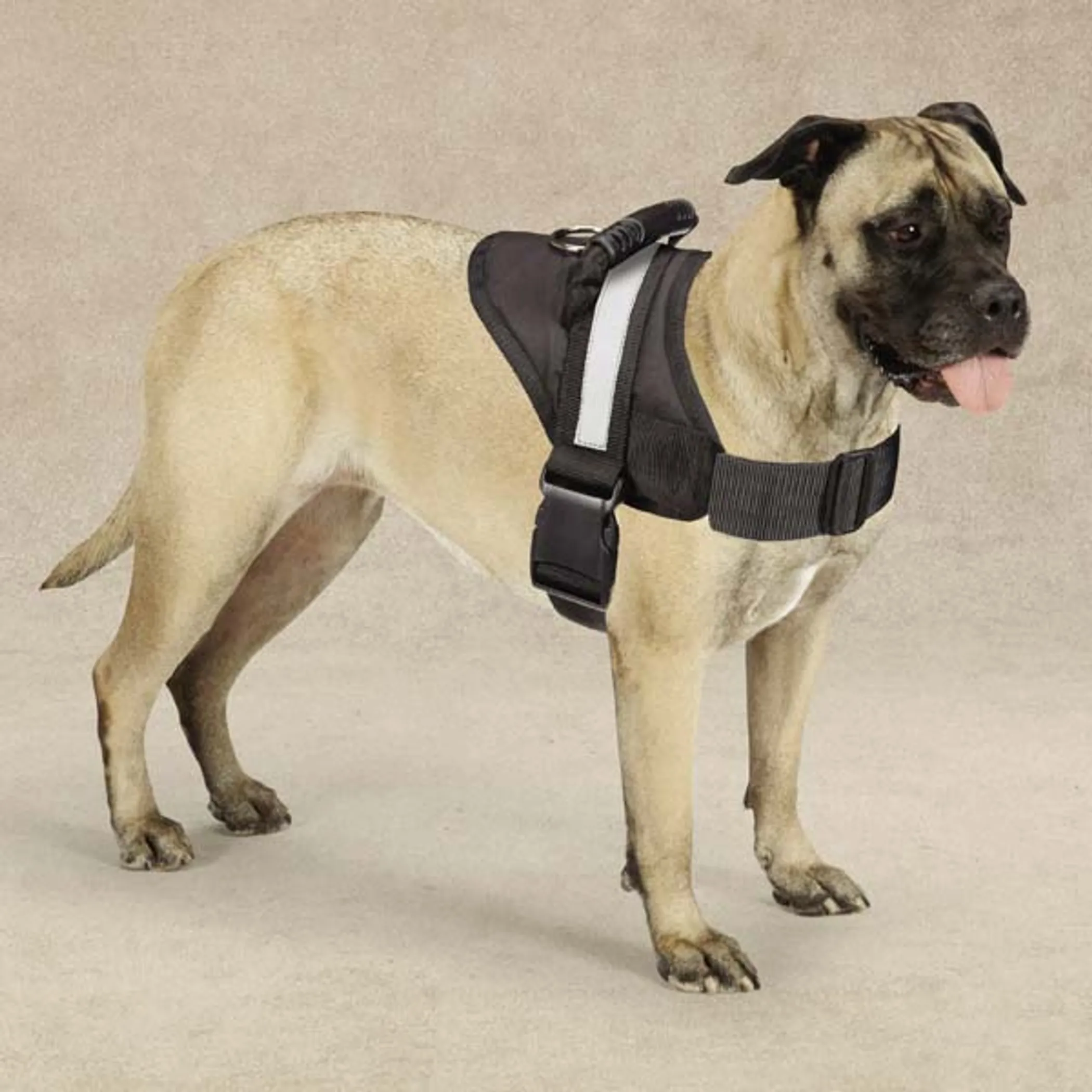 Guardian Gear Excursion Dog Harness — Handle and Reflective - Image 3