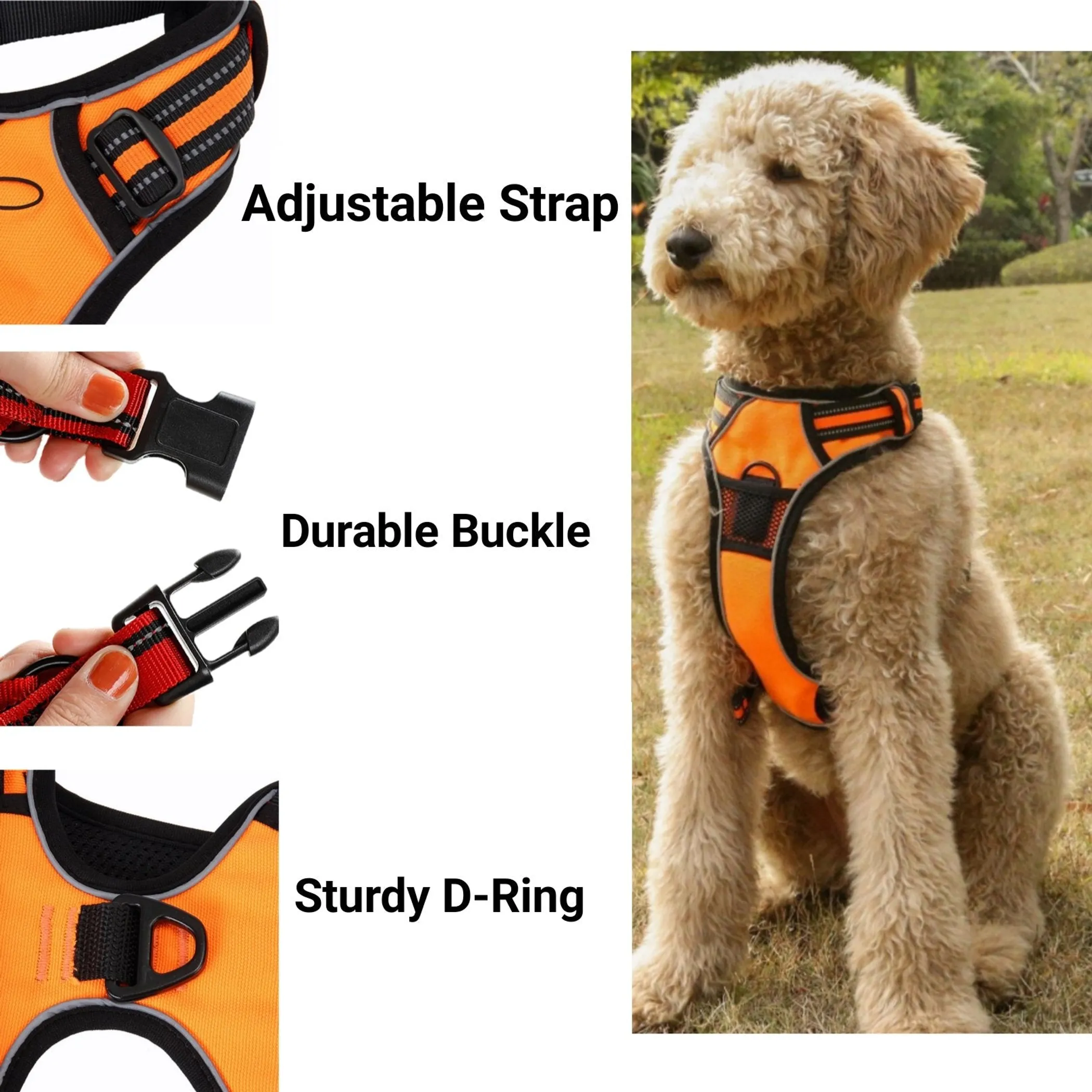 Mr. Peanut's PetTrek Padded Harness and Leash Set — XS to L - Image 4