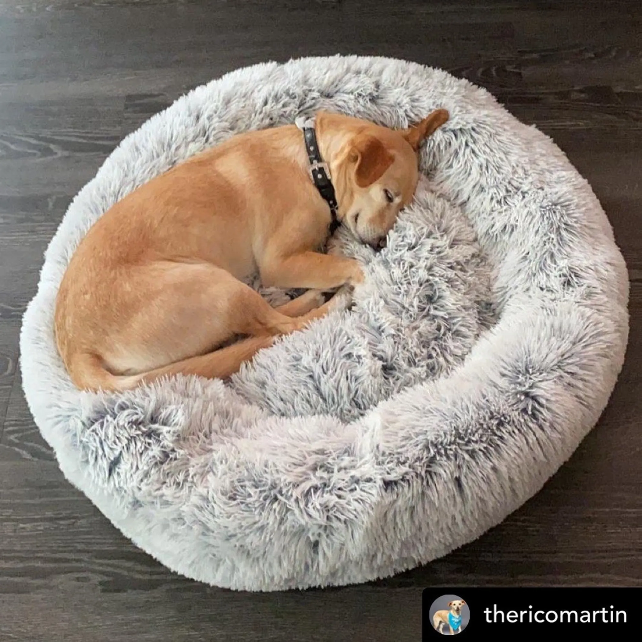 Mr. Peanut's OrthoPlush Pet Bed — Plush Top, Firm Core, 28 in