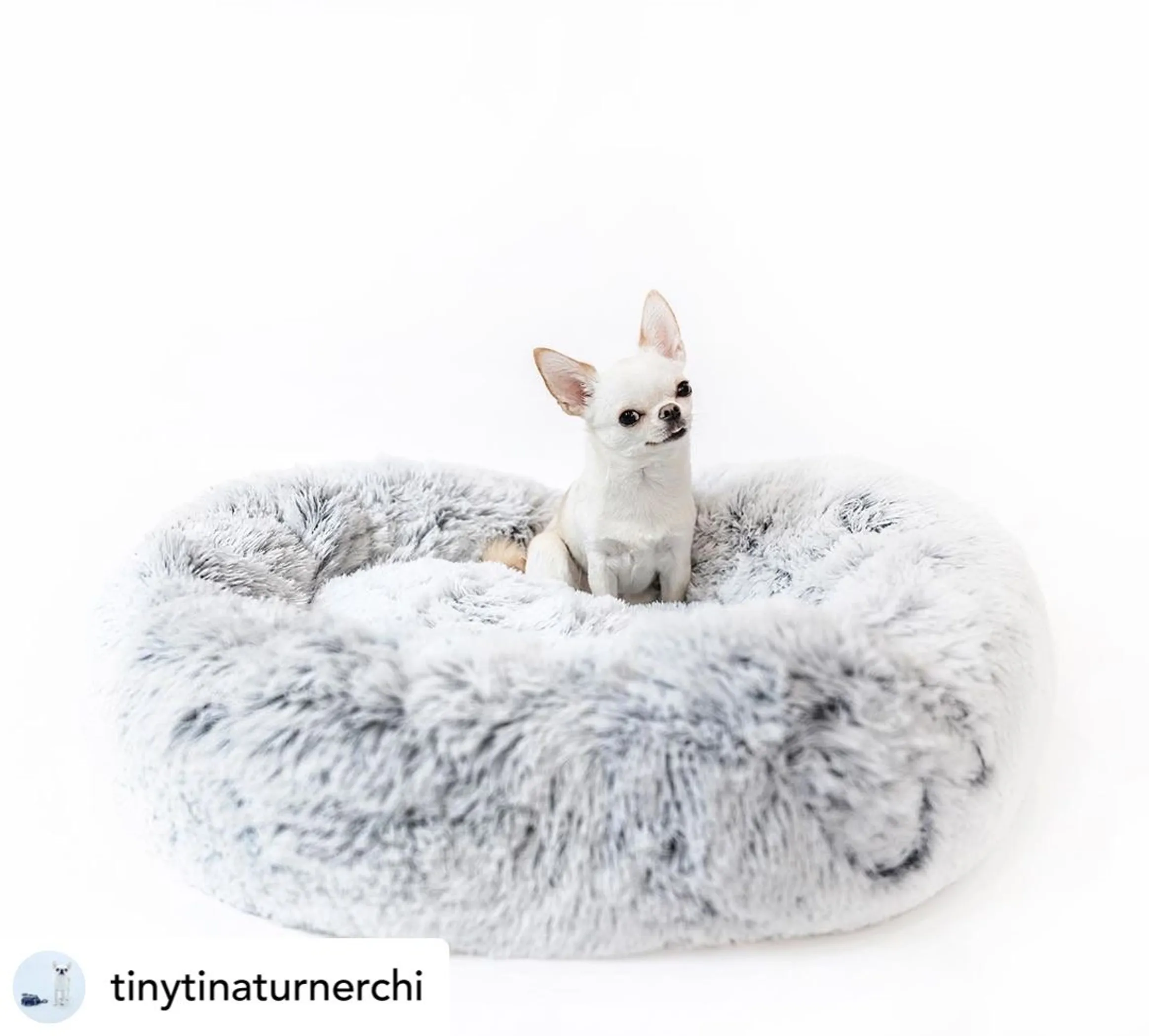 Mr. Peanut's OrthoPlush Pet Bed — Plush Top, Firm Core, 28 in - Image 4