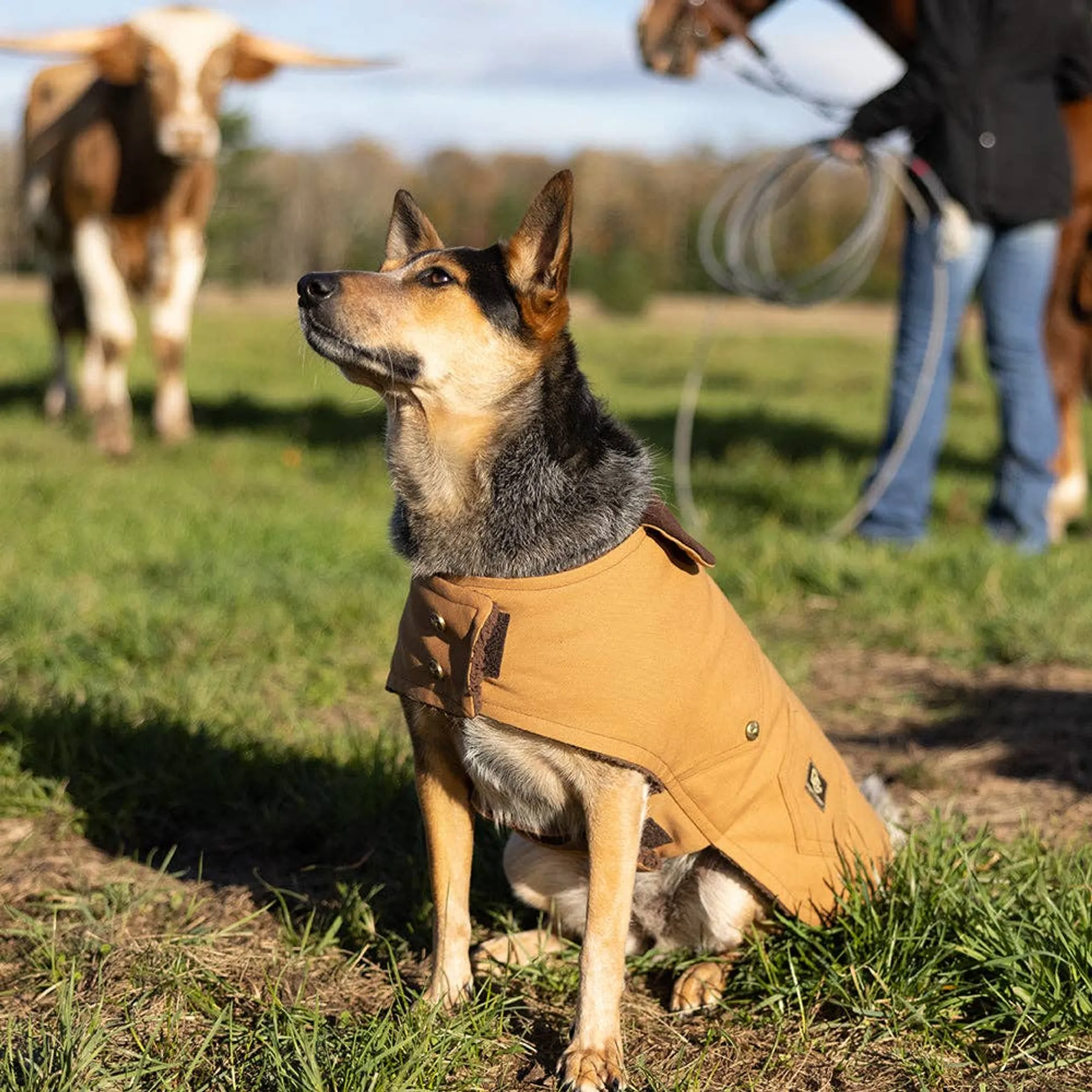 Doggie Couture NY Canyon Working Coat — Fleece Lined - Image 3