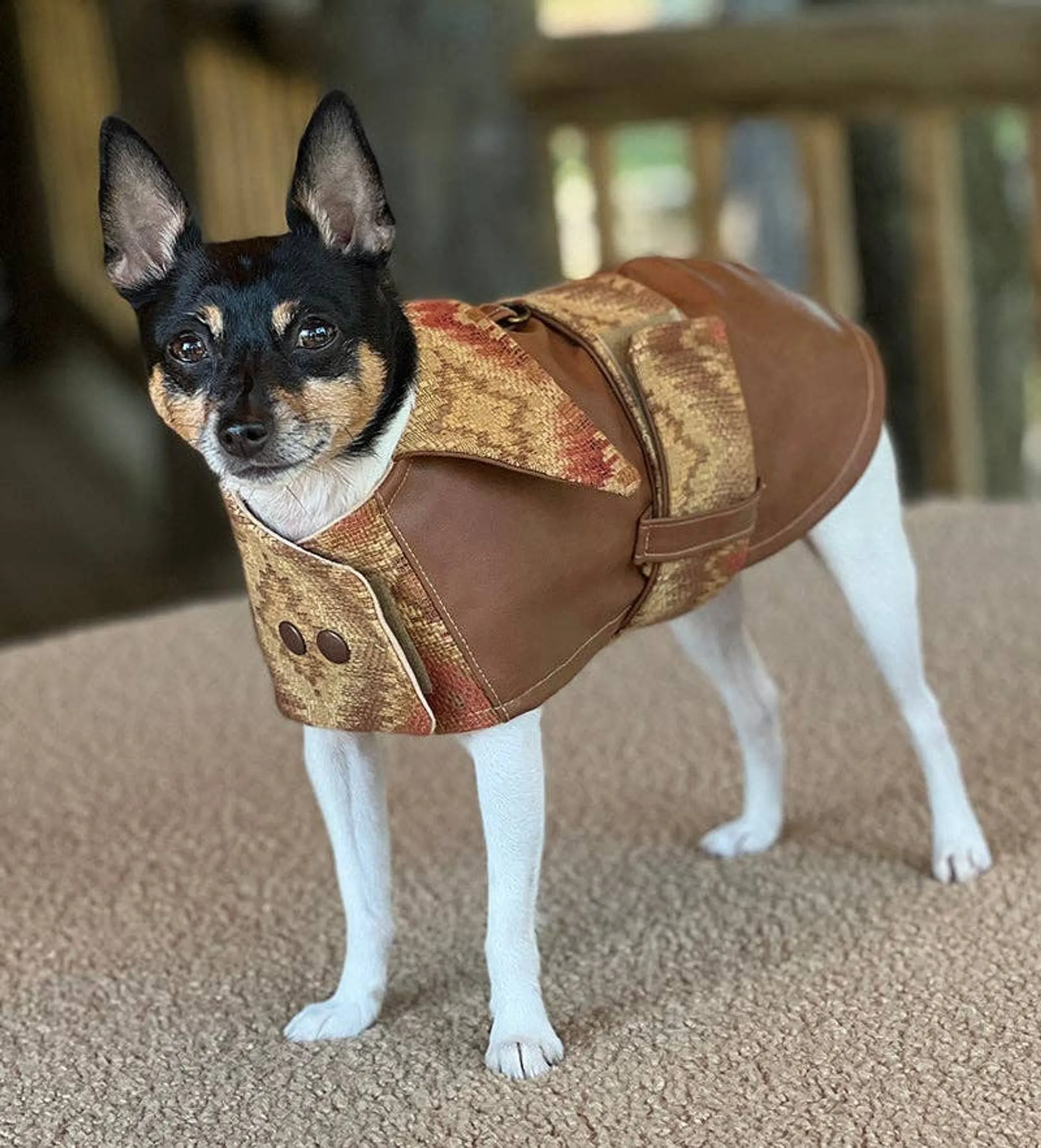 Doggie Couture NY Southwest Coat — Vegan Leather, XXS–M - Image 3