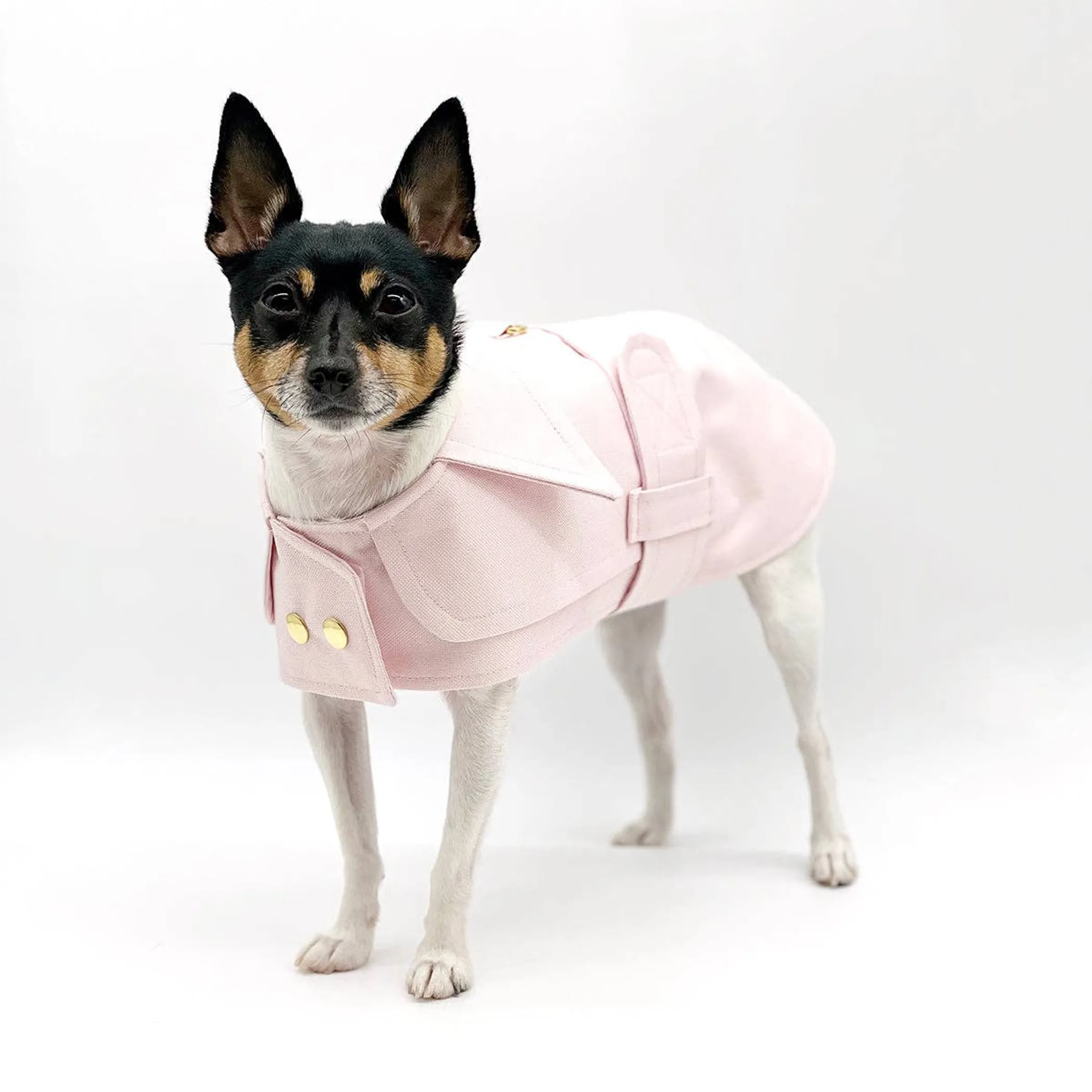 Doggie Couture NY Belted Trench Coat — Canvas, XXS–M