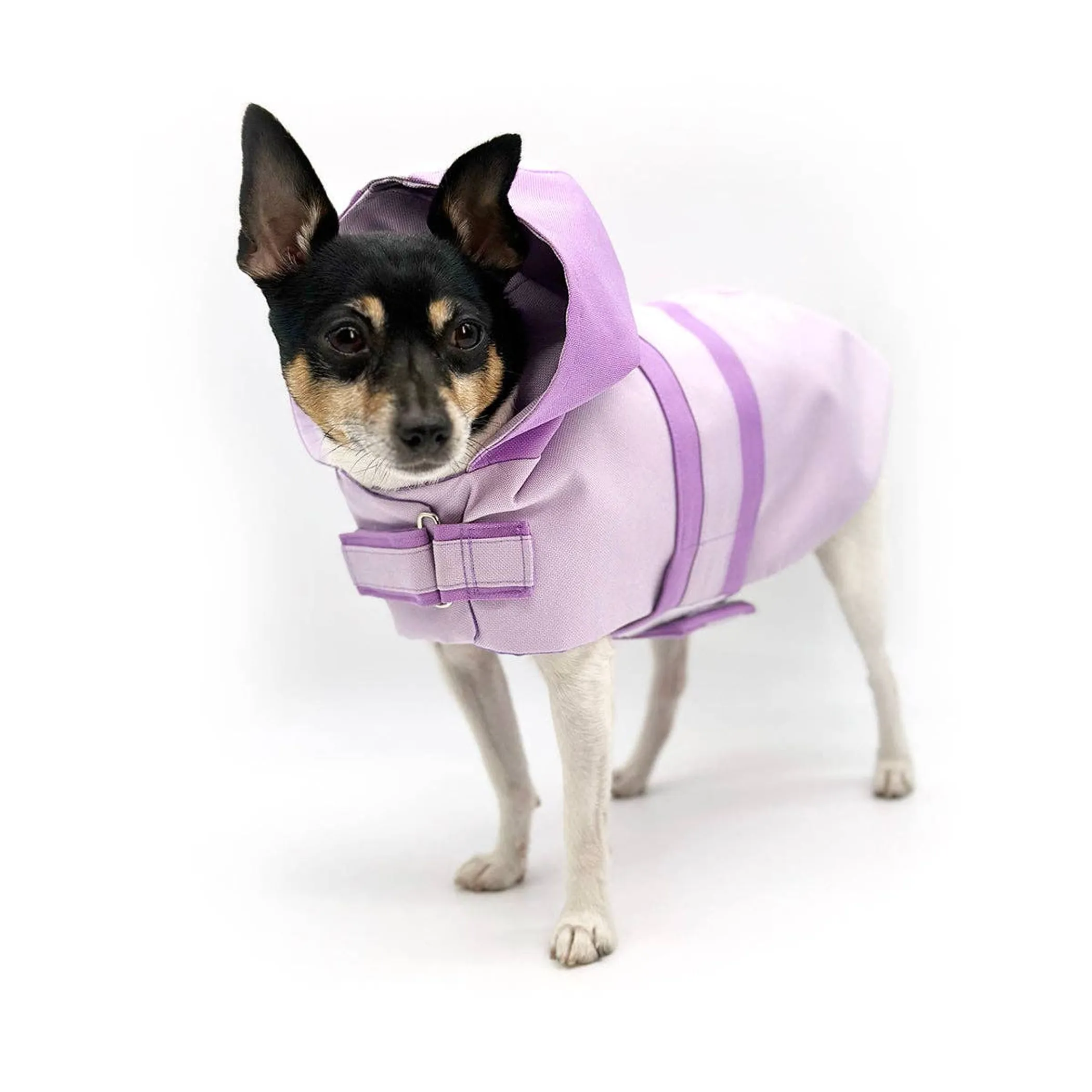 Doggie Couture NY Sport Luxe Hooded Dog Raincoat - Image 3