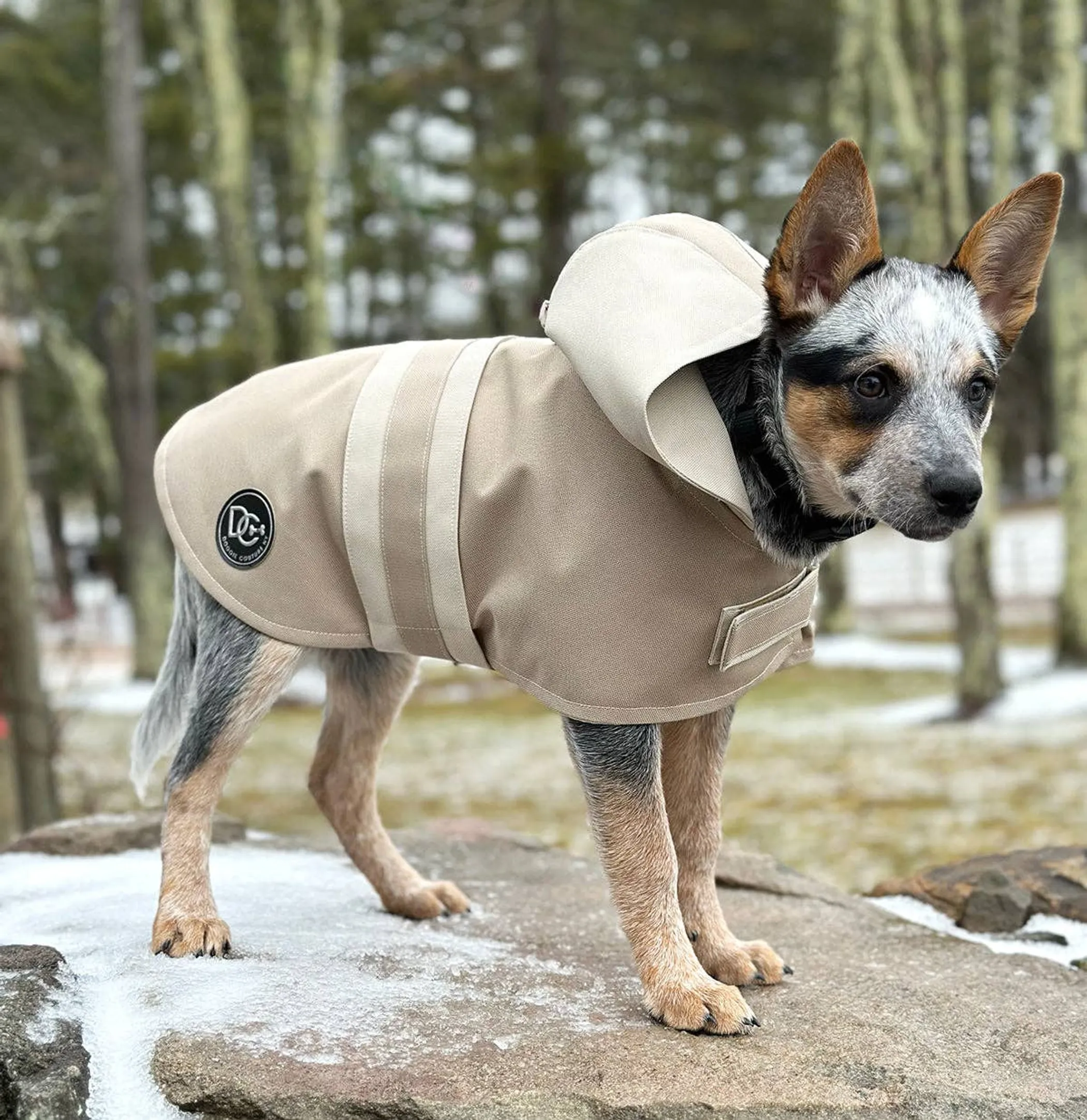 Doggie Couture NY Sport Luxe Hooded Dog Raincoat - Image 4
