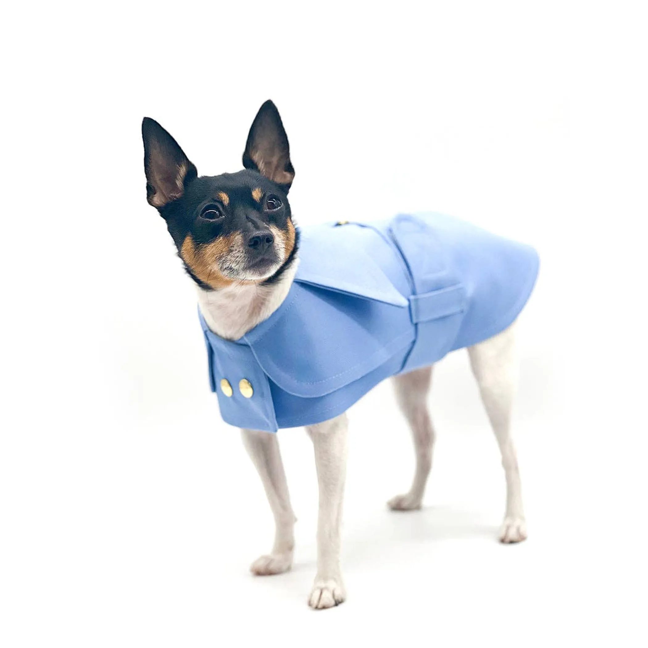 Doggie Couture NY Belted Trench Coat — Canvas, XXS–M - Image 5