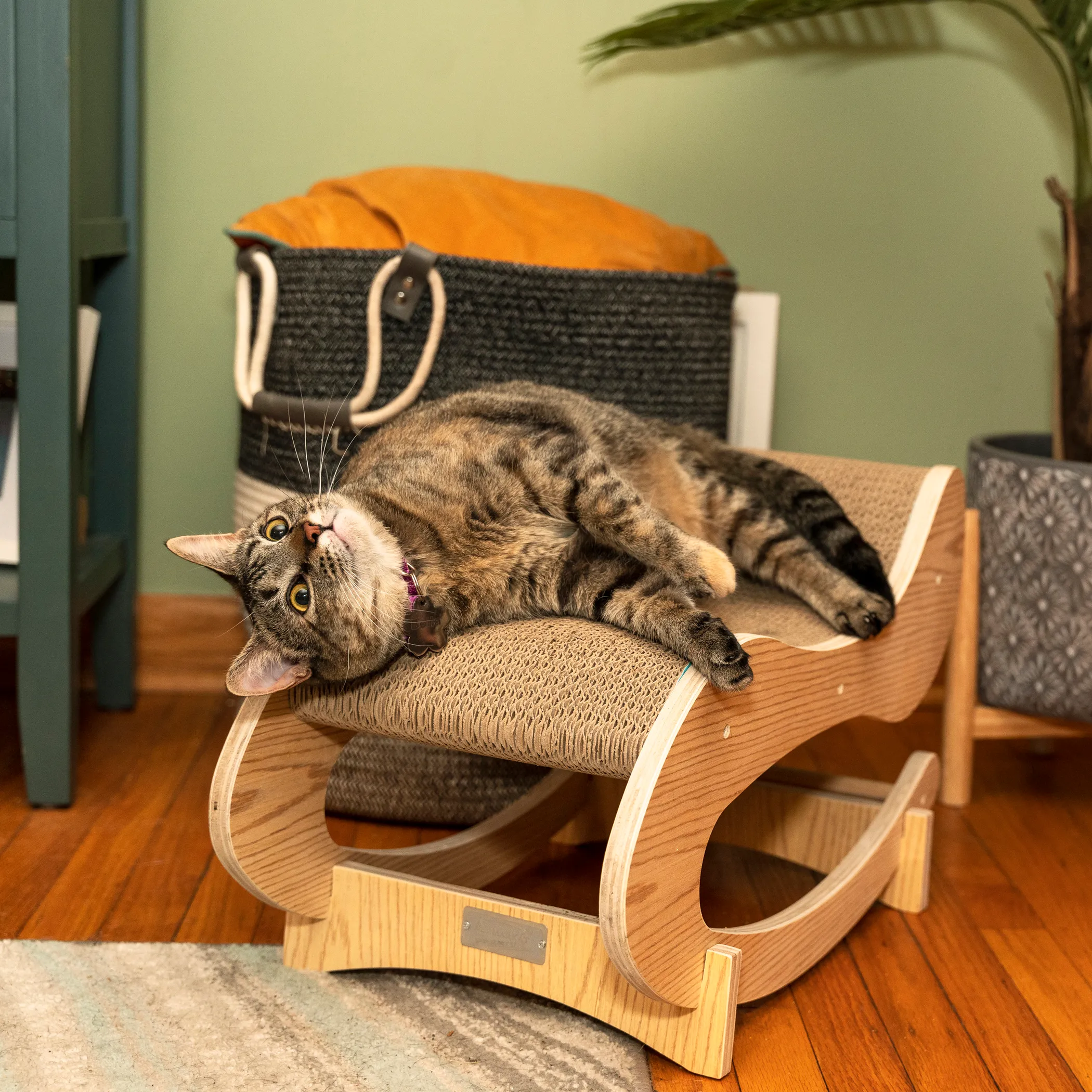 Armarkat Cat Rocking Chair Bed — Detachable Swing Seat - Image 4