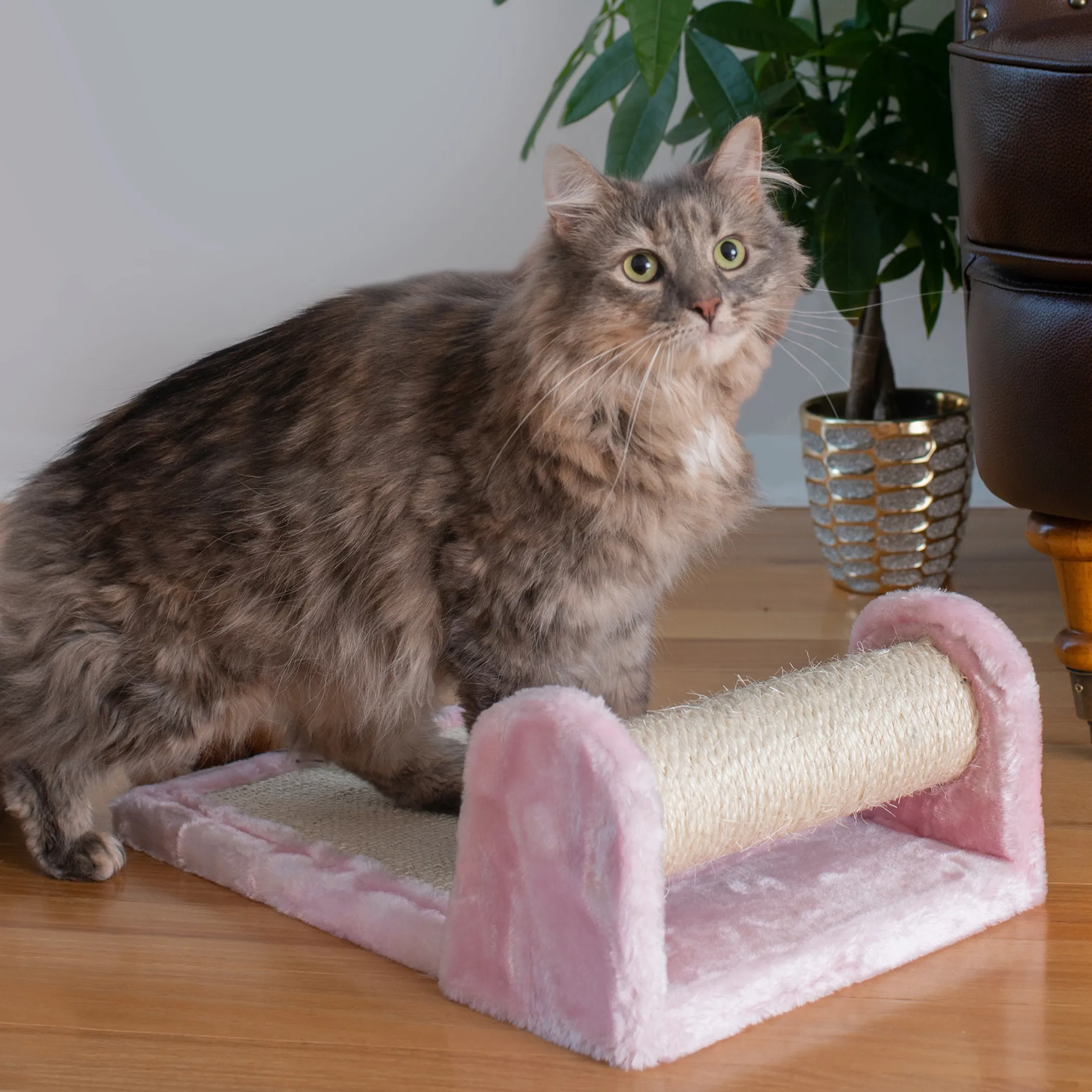 Armarkat Rolling Cat Scratcher — Sisal and Plush, No Assembly - Image 5