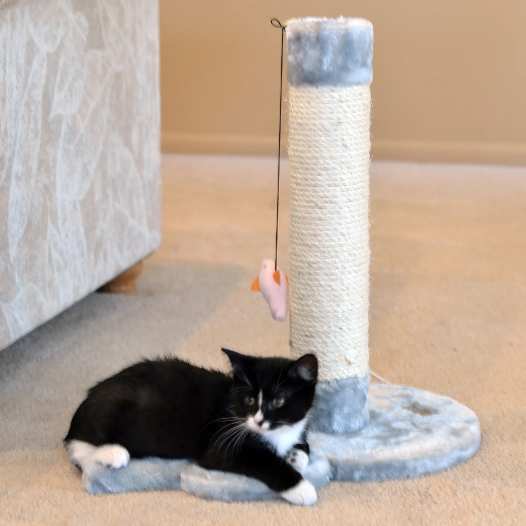 Armarkat Mouse-Shape Cat Scratcher Post with Rope Toys - Image 3