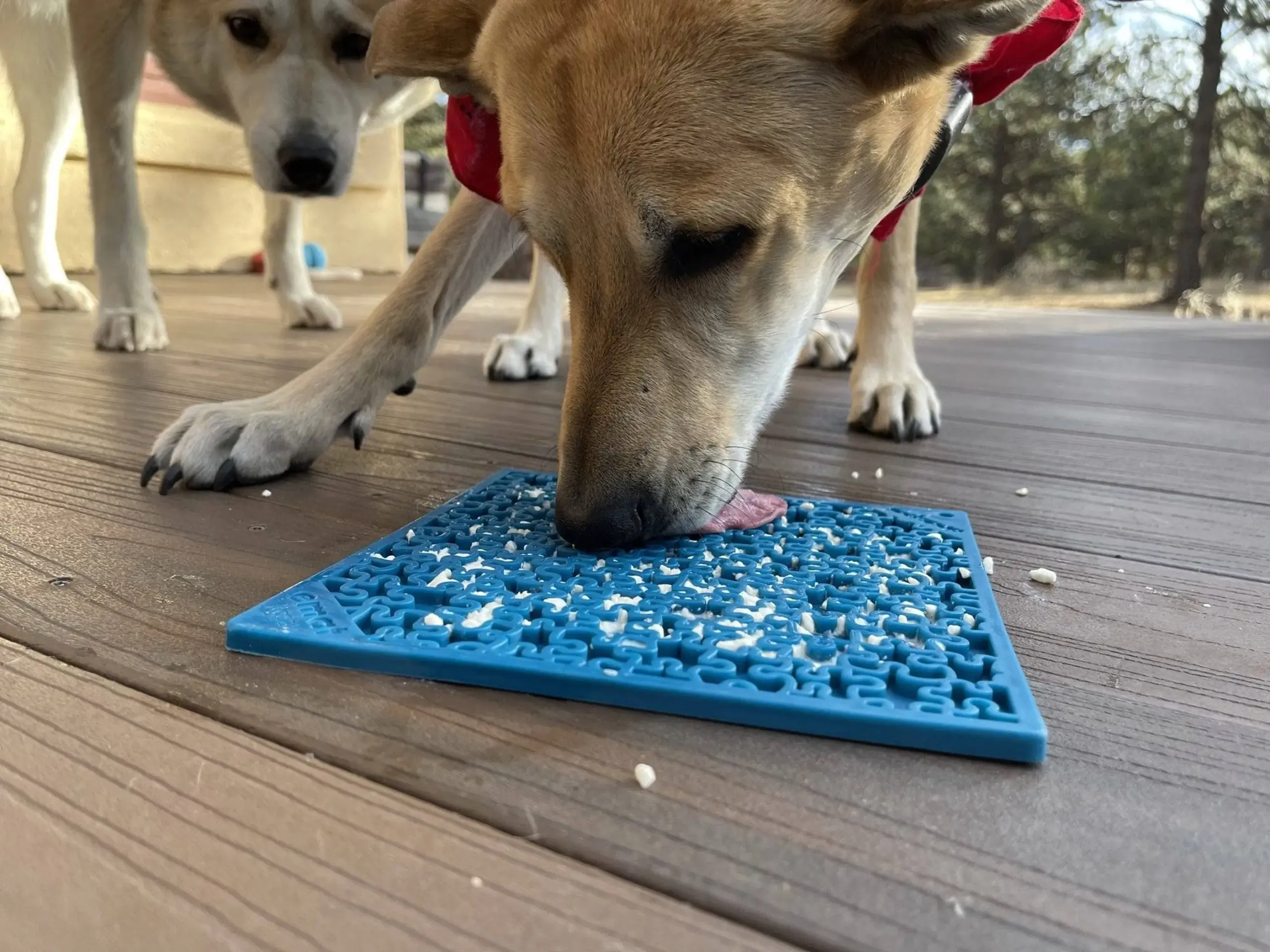 SodaPup Jigsaw Enrichment Lick Mat for Dogs & Cats — Made in USA - Image 5