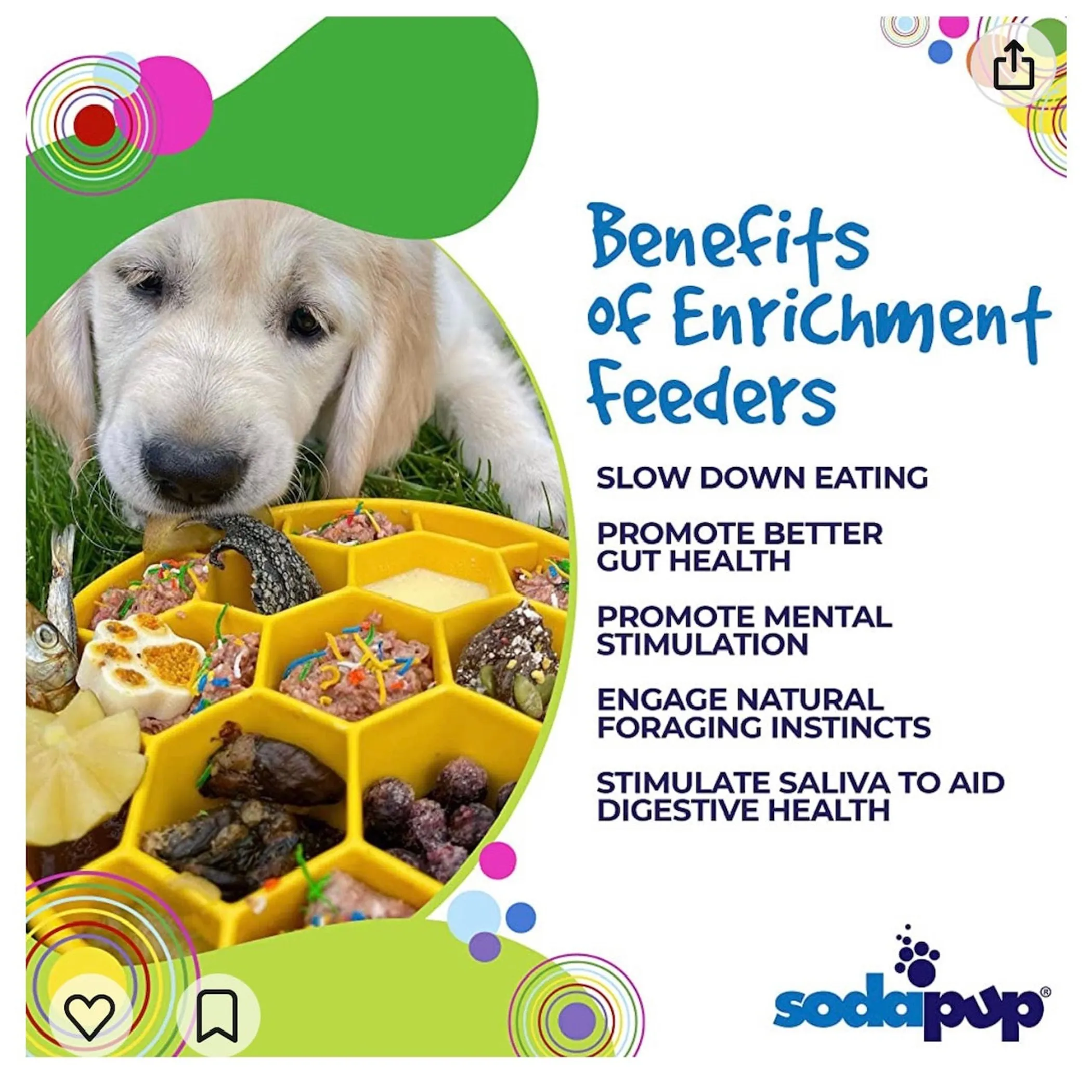 SodaPup Honeycomb Slow Feeder Dog Bowl — Deep eBowl, Made in USA - Image 4