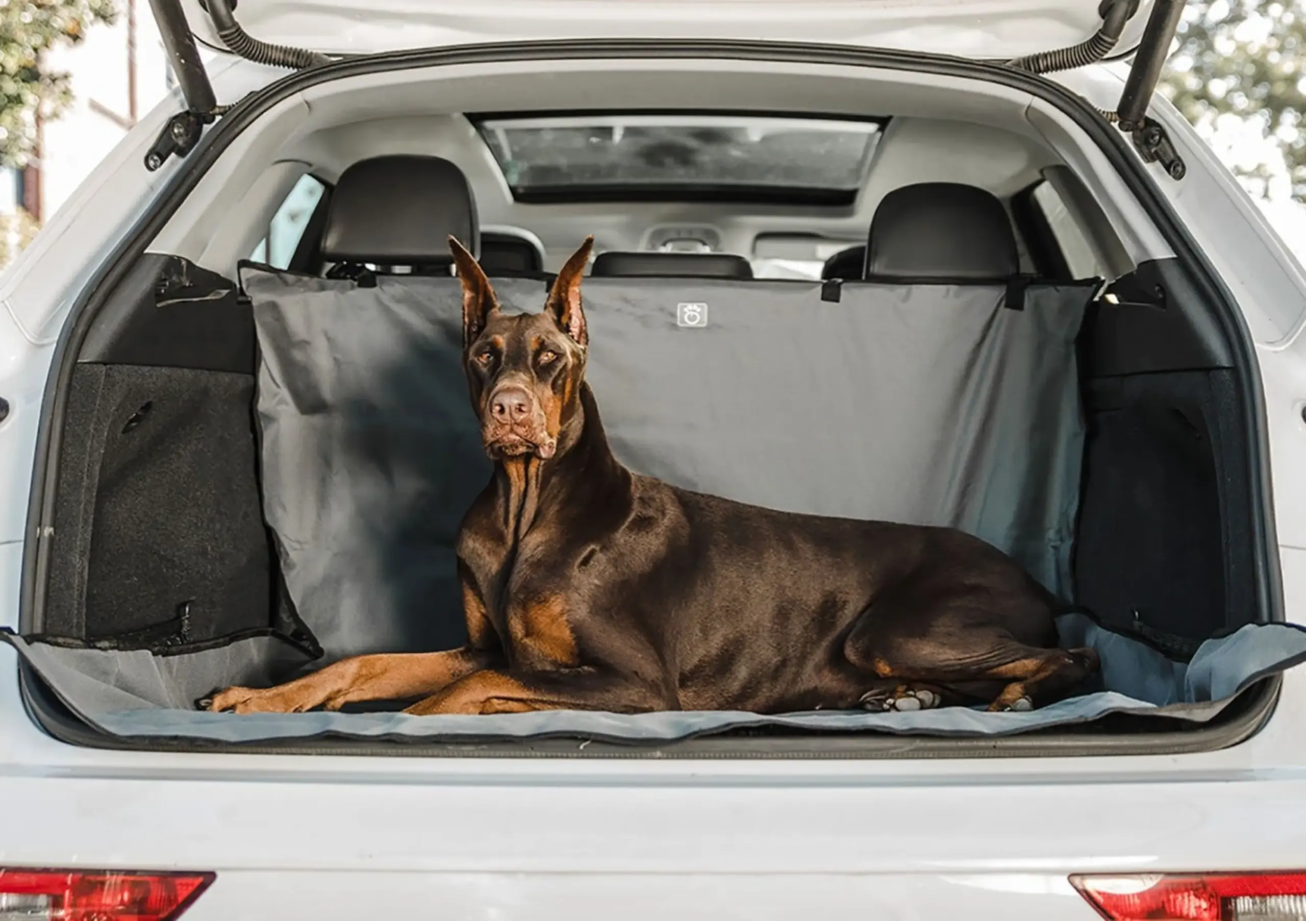 GF PET Cargo Cover — Waterproof Boot Liner, 50 by 59 Inch