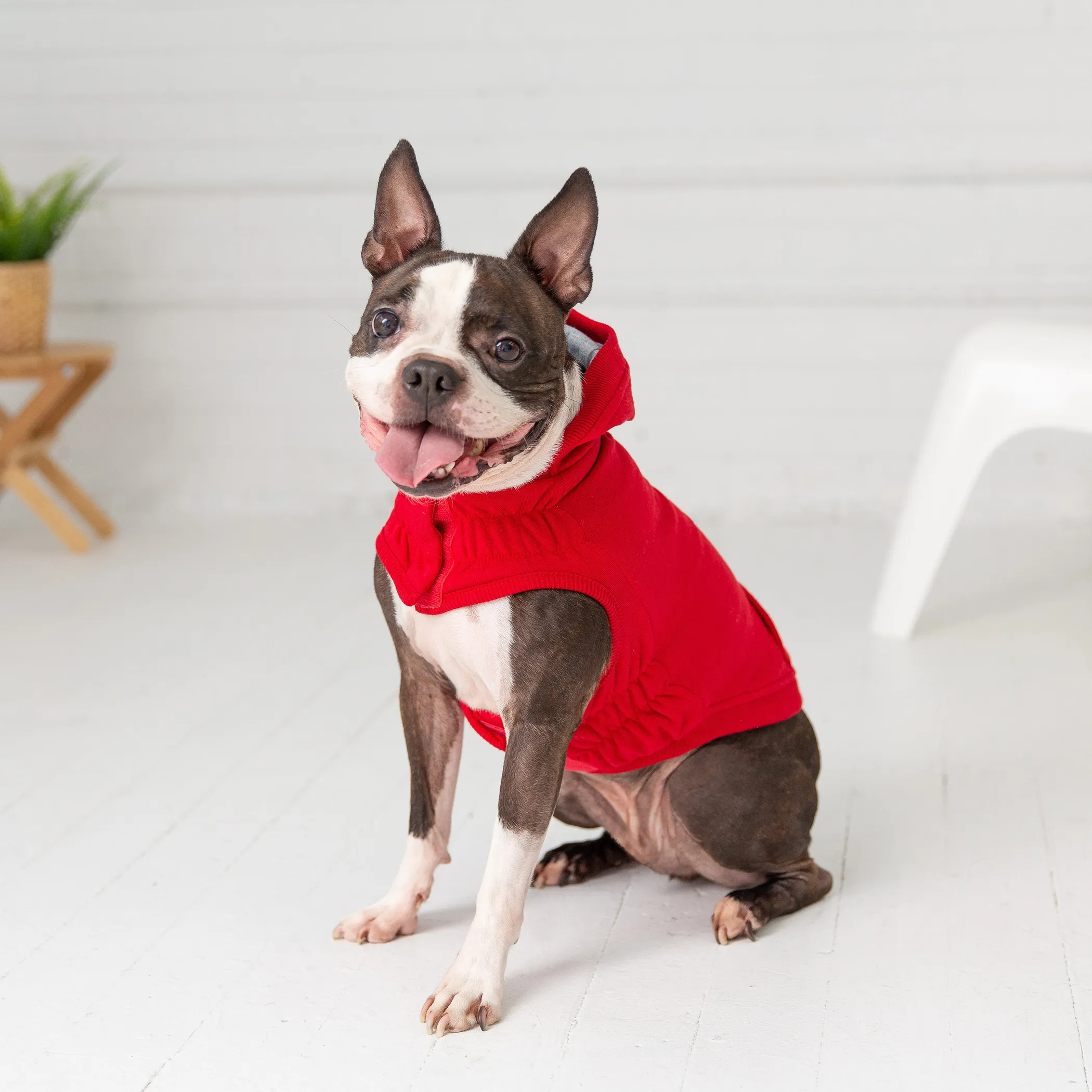 GF PET Urban Dog Hoodie — Fleece with Kangaroo Pocket - Image 4